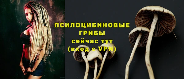 mix Богданович