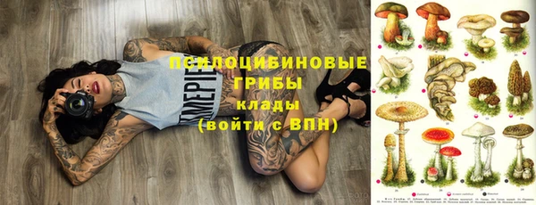 скорость Бронницы