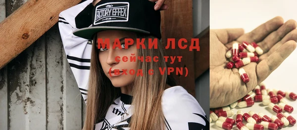 амф Бородино